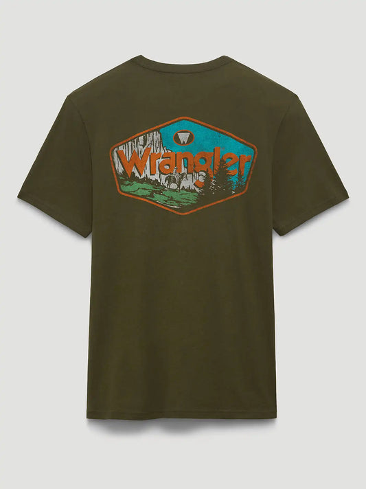 Mountain Vista Back Graphic T-Shirt in Ivy Green